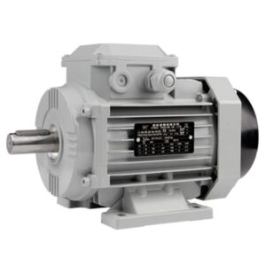 Electric Induction Motor - Brand New China